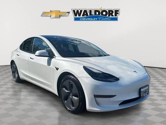 TESLA MODEL 3 2021 5YJ3E1EB4MF924687 image TESLA MODEL 3 2021 5YJ3E1EB4MF924687 image